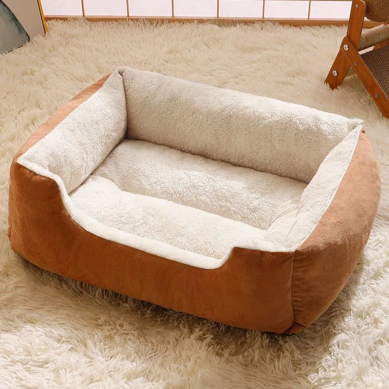Beds for Pets With Cushion