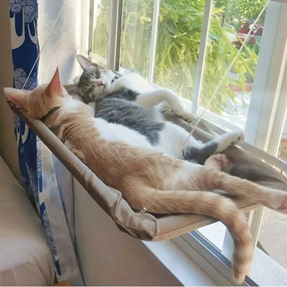 Comfortable Cat Hammocks