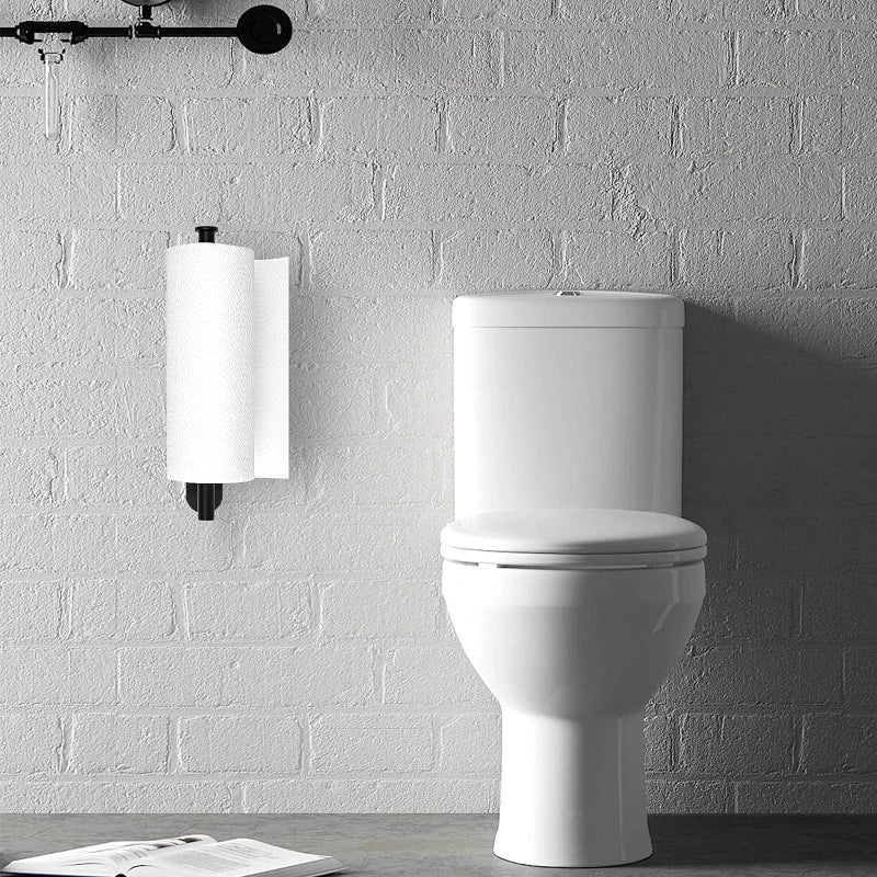 Stainless Steel Wall Mount Paper Towel Holders