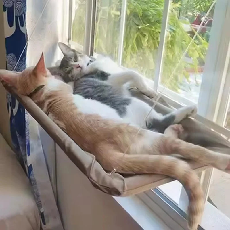 Cat Window Hanging Hammocks