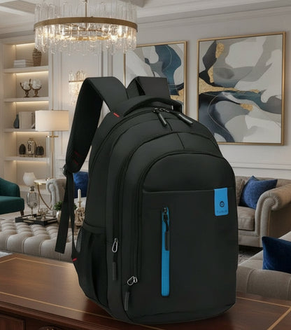 Fashionable Large Backpacks Bags