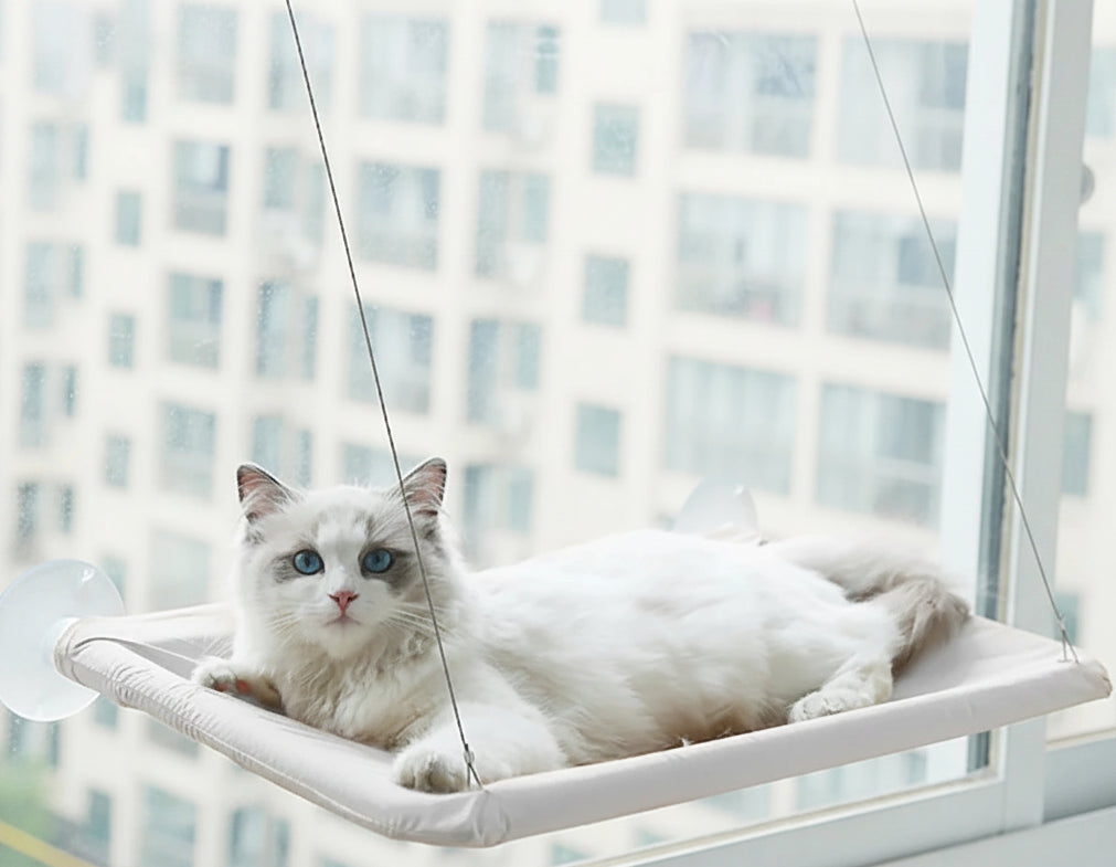 20KG Pet Hammocks