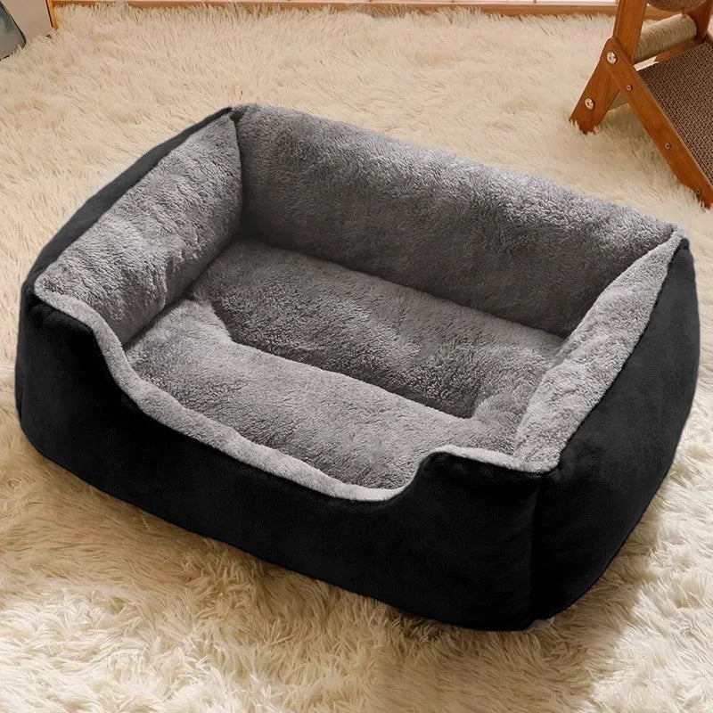 Beds for Pets With Cushion