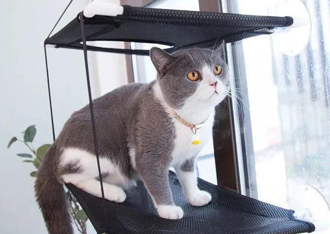 Sunny Seat Cat Window Hammocks