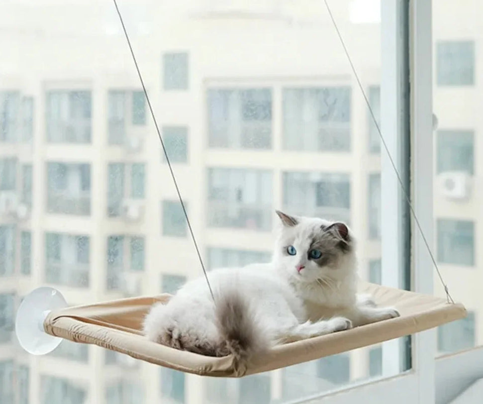 Comfortable Cat Hammocks