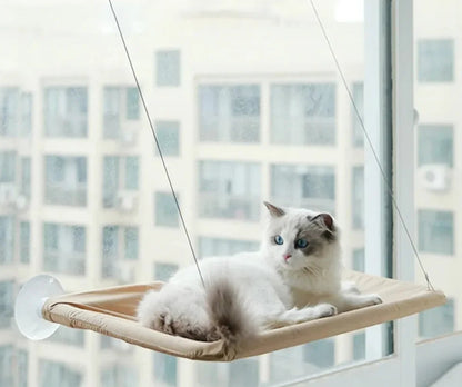 Comfortable Cat Hammocks