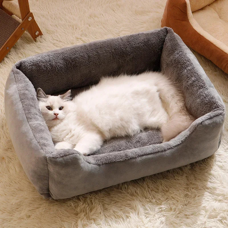 Beds for Pets With Cushion