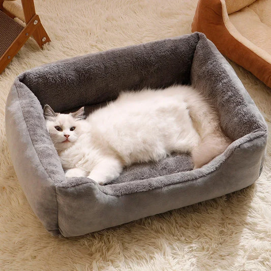 Beds for Pets With Cushion