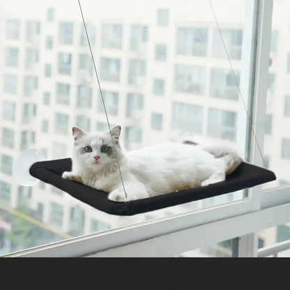 Comfortable Cat Hammocks