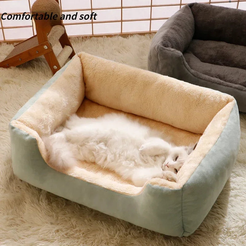 Beds for Pets With Cushion