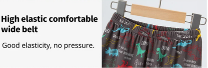 Cute Dinosaur Top and Short for Boy